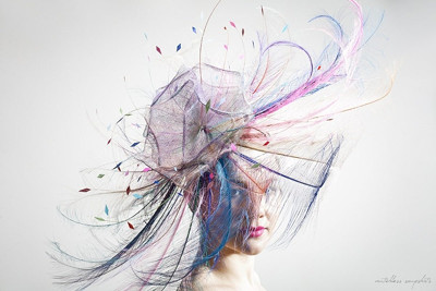 feathers